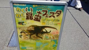 P_20160823_121604 [42961]