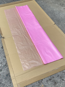 22年度CAST様追加ご支援